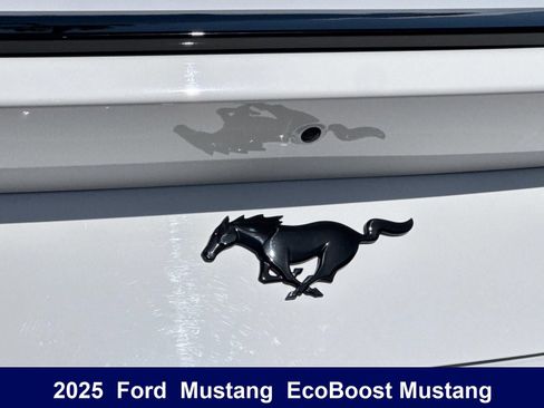 Used 2025 Ford Mustang Coupe w/ Mustang Nite Pony Package RWD image 33