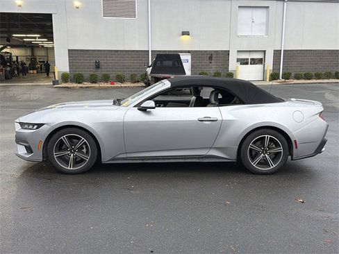 Used 2024 Ford Mustang Premium image 10