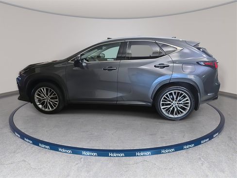 Certified 2025 Lexus NX 350 AWD w/ Luxury Package image 8
