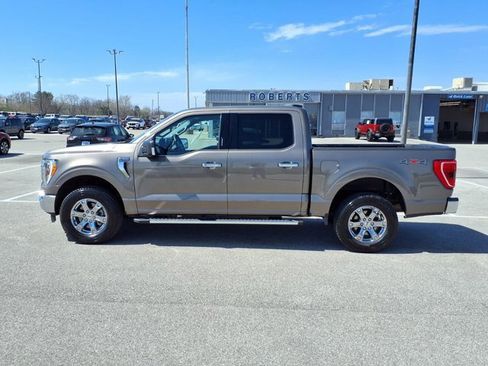 Certified 2023 Ford F150 XLT w/ Equipment Group 302A High image 2