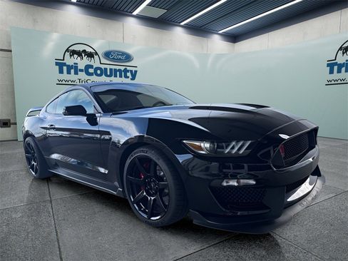 Used 2019 Ford Mustang Shelby GT350R w/ GT350R Equipment Group 920A image 1