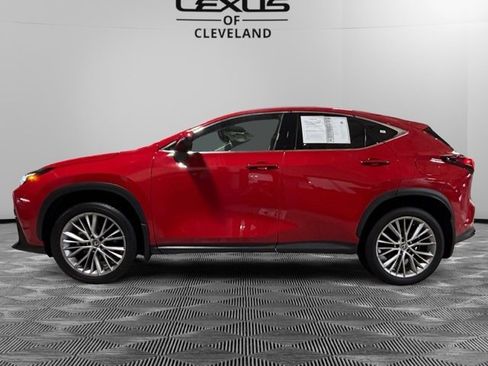Used 2025 Lexus NX 300h AWD w/ Luxury Package image 3