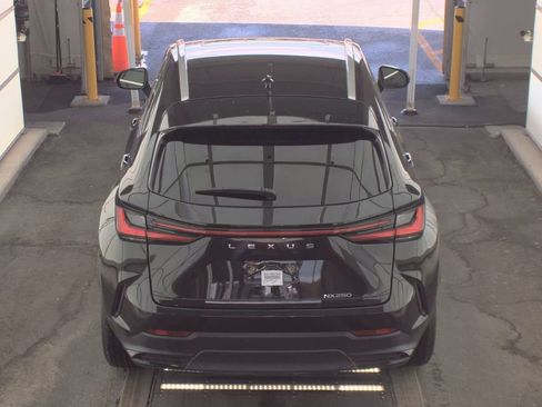 Used 2024 Lexus NX 250 FWD w/ Cold Area Package image 7