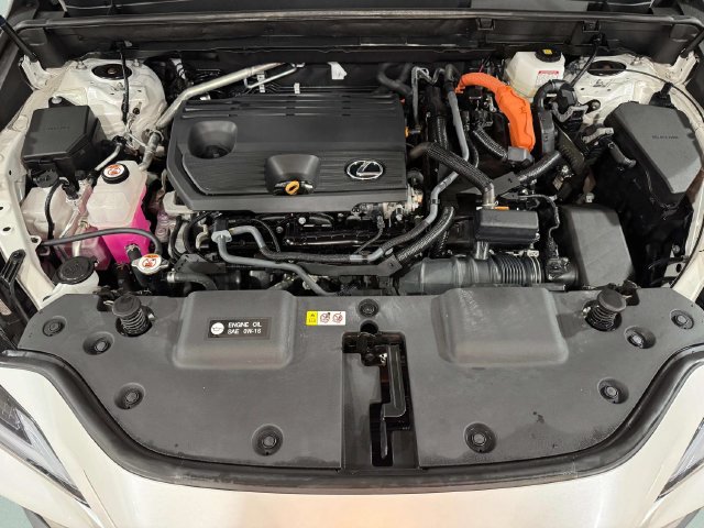 Certified 2025 Lexus NX 350h AWD w/ Cold Area Package image 29