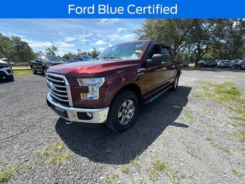 Used 2016 Ford F150 XLT w/ Equipment Group 302A Luxury AWD/4WD image 1