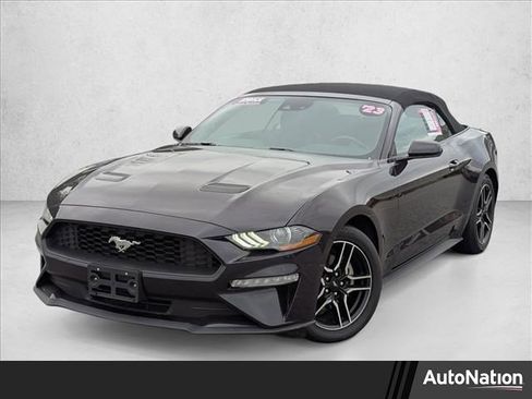 Used 2023 Ford Mustang Premium image 1