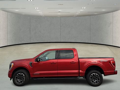 Used 2021 Ford F150 XLT w/ Equipment Group 302A High image 8