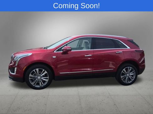 Used 2025 Cadillac XT5 Premium Luxury AWD/4WD image 3