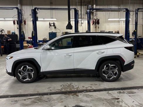 Certified 2024 Hyundai Tucson Limited image 3