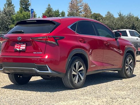 Used 2019 Lexus NX 300h AWD w/ Premium Package image 3