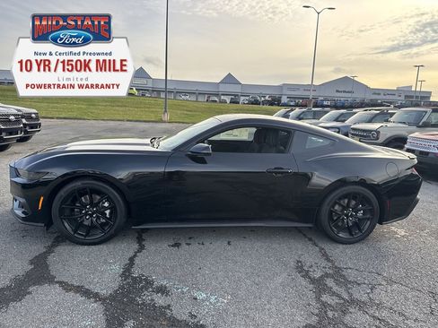 New 2026 Ford Mustang EcoBoost w/ Mustang Nite Pony Package image 10