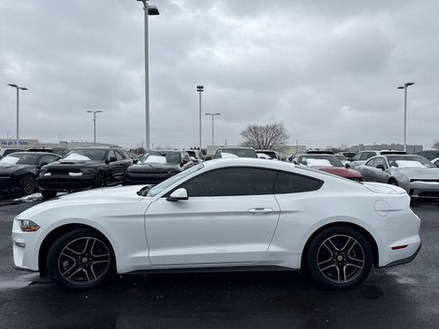 Used 2019 Ford Mustang Premium image 6
