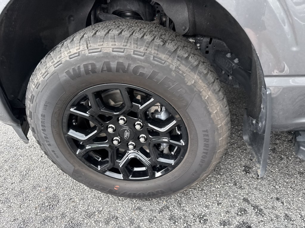 Used 2025 Ford F150 STX AWD/4WD image 11