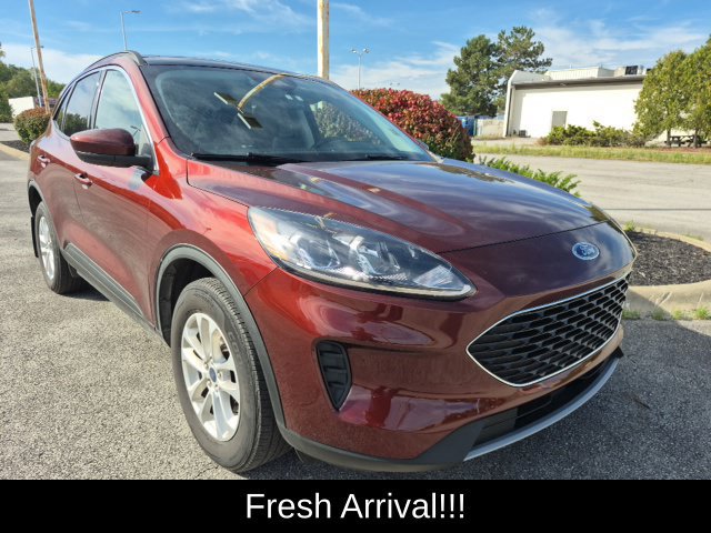 Used 2021 Ford Escape SE w/ Cold Weather Package AWD/4WD image 9