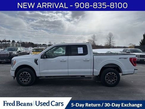 Used 2023 Ford F150 XLT w/ Equipment Group 302A High image 4