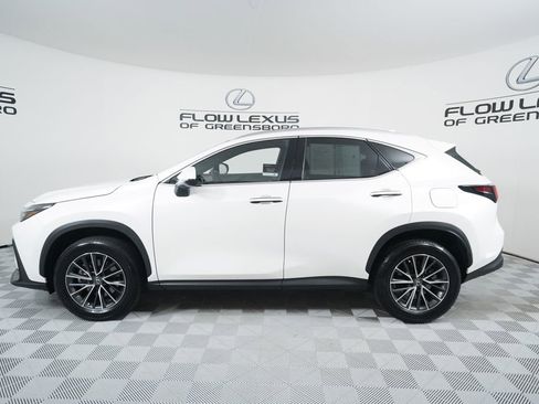 Certified 2024 Lexus NX 350 350 Premium image 4
