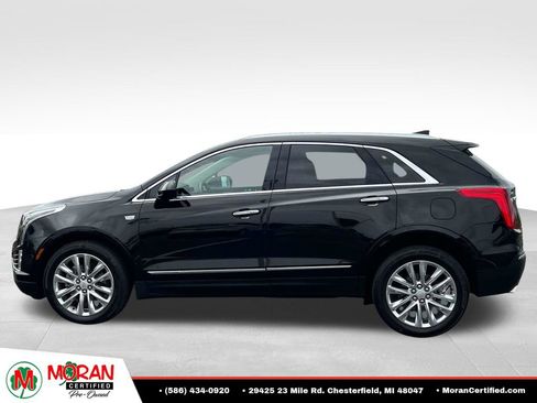 Used 2019 Cadillac XT5 Premium Luxury AWD/4WD image 2