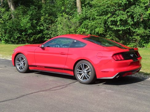 Used 2015 Ford Mustang Premium w/ Equipment Group 201A RWD image 7