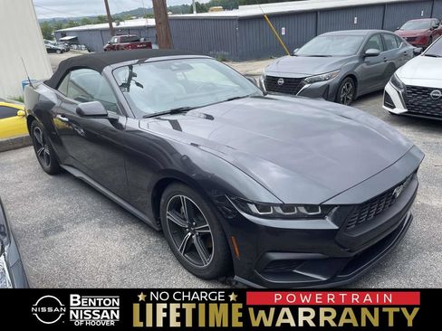 Used 2024 Ford Mustang Premium RWD image 1