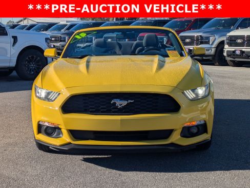 Used 2015 Ford Mustang Convertible w/ Equipment Group 051A image 8
