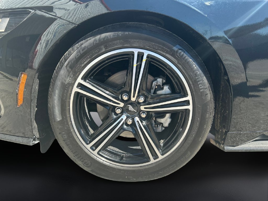 Used 2025 Ford Mustang Premium RWD image 9