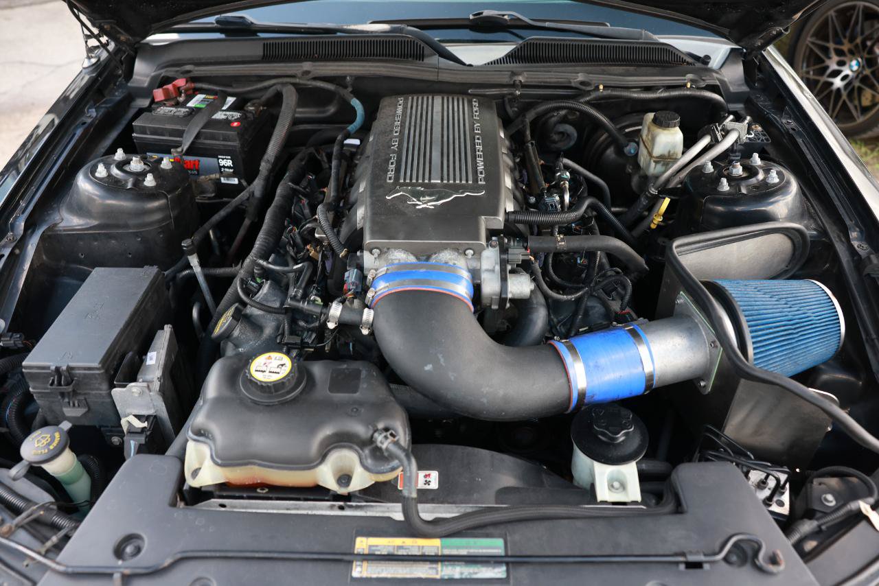 Used 2009 Ford Mustang Convertible RWD image 18
