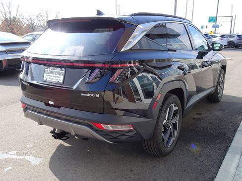 New 2024 Hyundai Tucson Limited image 5