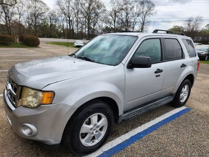 Used 2010 Ford Escape XLT