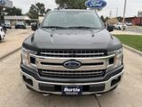 Certified 2019 Ford F150 XLT w/ Equipment Group 302A Luxury image 3