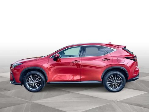 Used 2024 Lexus NX 250 FWD w/ Cold Area Package image 5