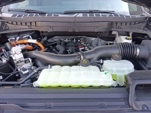 New 2026 Ford F150 Platinum w/ Equipment Group 703A Plus AWD/4WD image 37