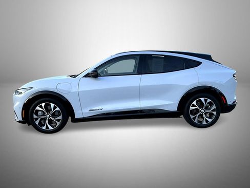 Used 2021 Ford Mustang Mach-E Premium RWD image 8