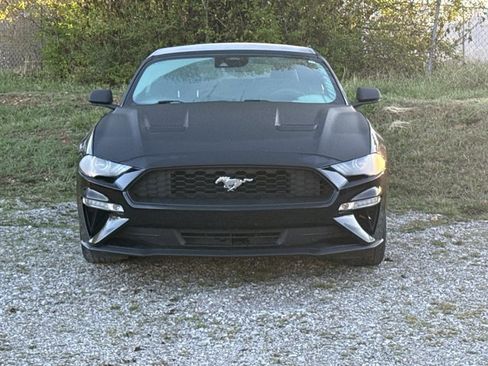 Used 2021 Ford Mustang Premium image 2
