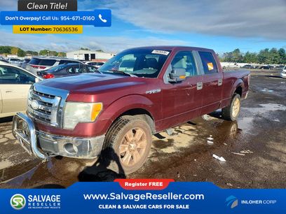 Used 2009 Ford F150 4x4 SuperCrew