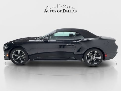 Used 2025 Ford Mustang Convertible RWD image 6