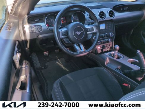 Used 2022 Ford Mustang GT w/ Black Accent Package image 13