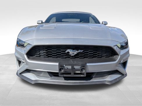 Used 2019 Ford Mustang Premium w/ Equipment Group 201A image 11