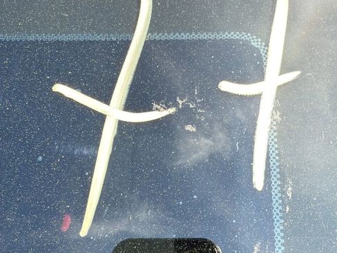 Used 2019 Chevrolet Traverse LT w/ LPO, Blackout Package image 32