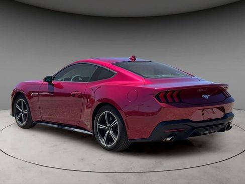Used 2025 Ford Mustang Coupe RWD image 3