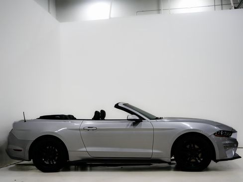 Used 2019 Ford Mustang Premium image 7