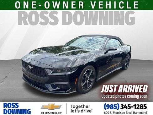 Used 2025 Ford Mustang Premium RWD image 1