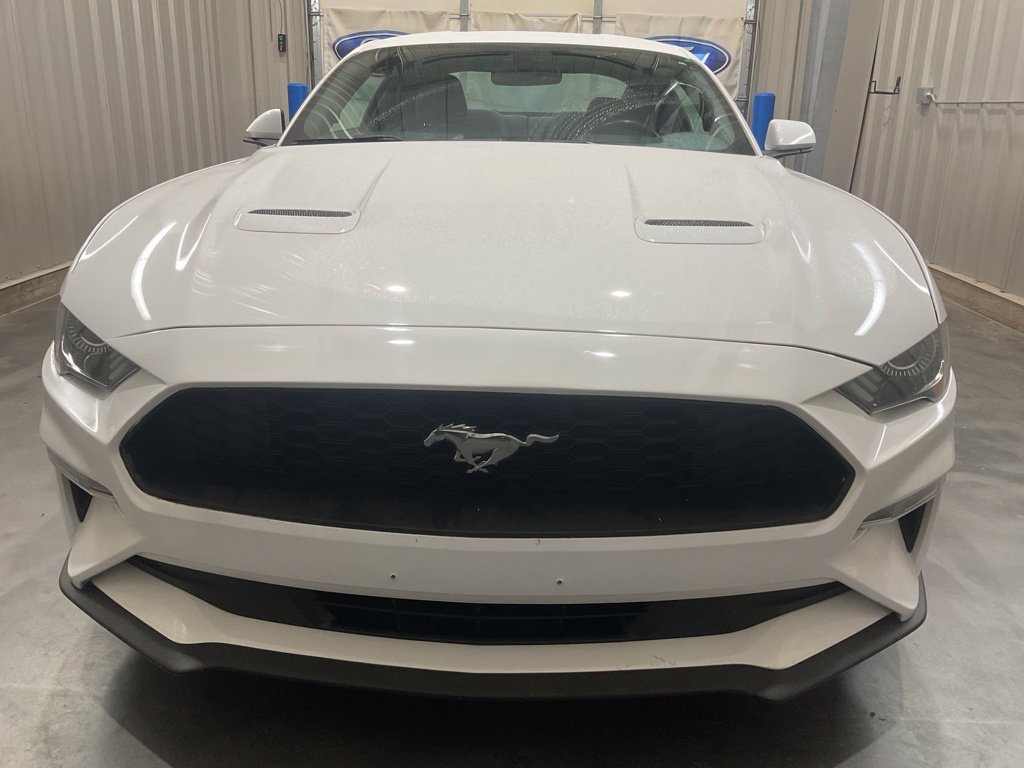 Used 2019 Ford Mustang Coupe w/ Equipment Group 101A RWD image 7