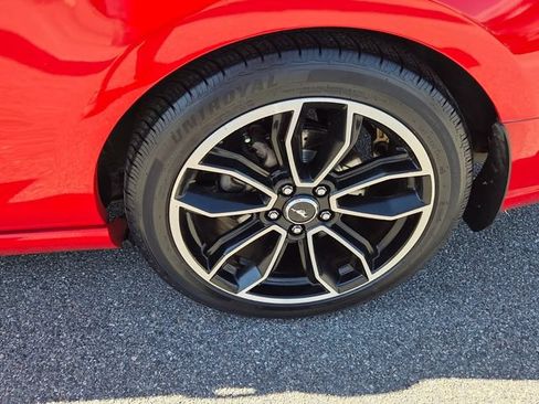 Used 2014 Ford Mustang GT w/ FP8 Appearance Package RWD image 15