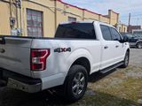Used 2019 Ford F150 XLT w/ Equipment Group 302A Luxury image 4