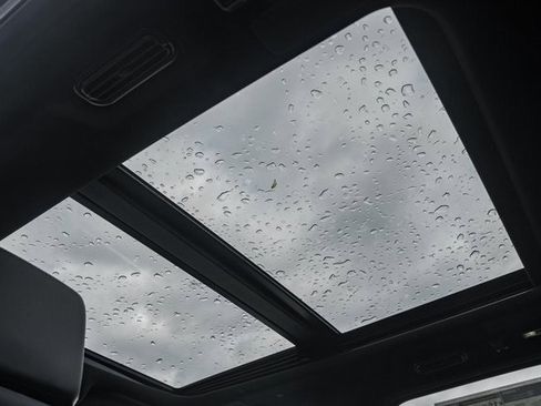 New 2025 Ford Expedition Platinum w/ Stealth Performance Package image 45