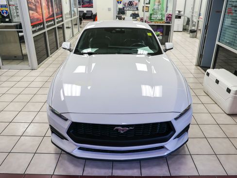 Used 2024 Ford Mustang Premium image 4