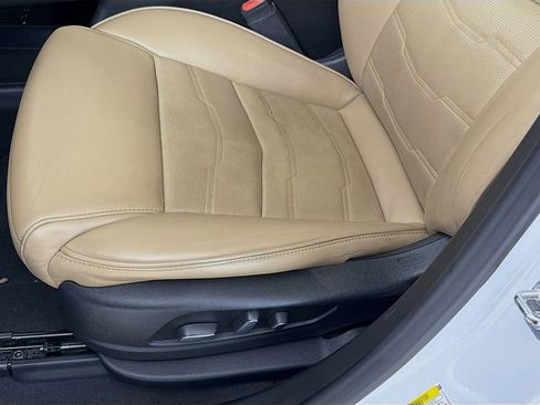 Used 2019 Cadillac XT5 Platinum image 24