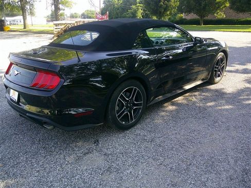Used 2023 Ford Mustang Premium RWD image 5