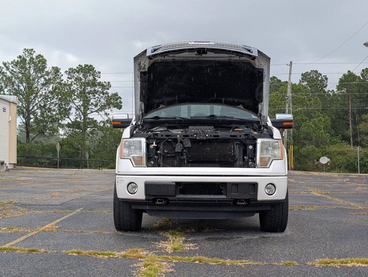 Used 2011 Ford F150 Platinum AWD/4WD image 26