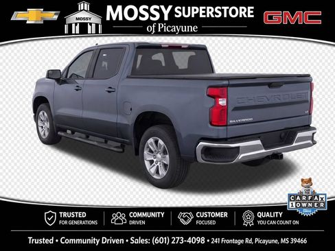 Used 2019 Chevrolet Silverado 1500 LT w/ All-Star Edition RWD image 3
